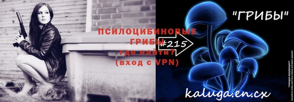 стаф Баксан
