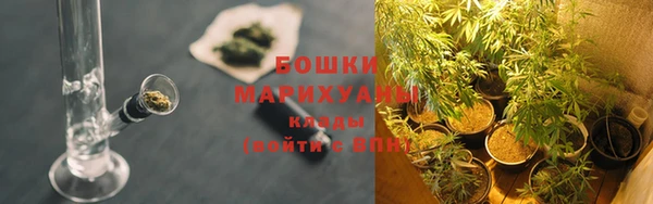 стаф Баксан