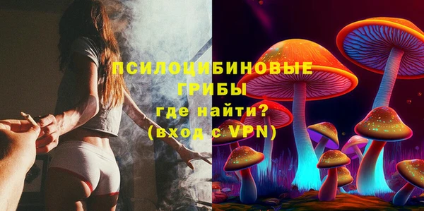 стаф Баксан
