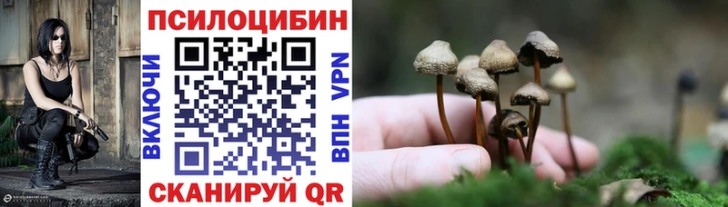 купить наркотик  Нижняя Салда  Псилоцибиновые грибы MAGIC MUSHROOMS 